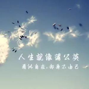 孔家的许玲珑头像