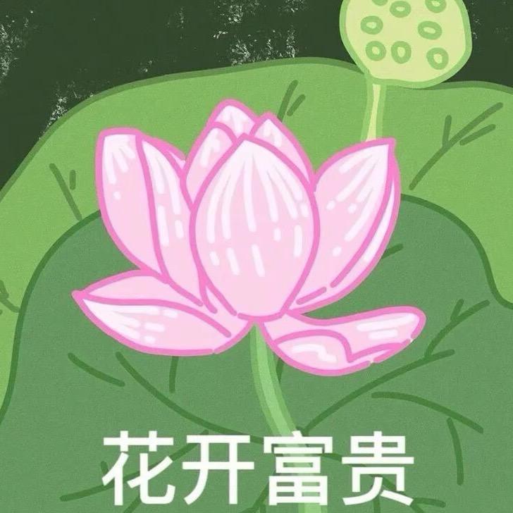 金金金