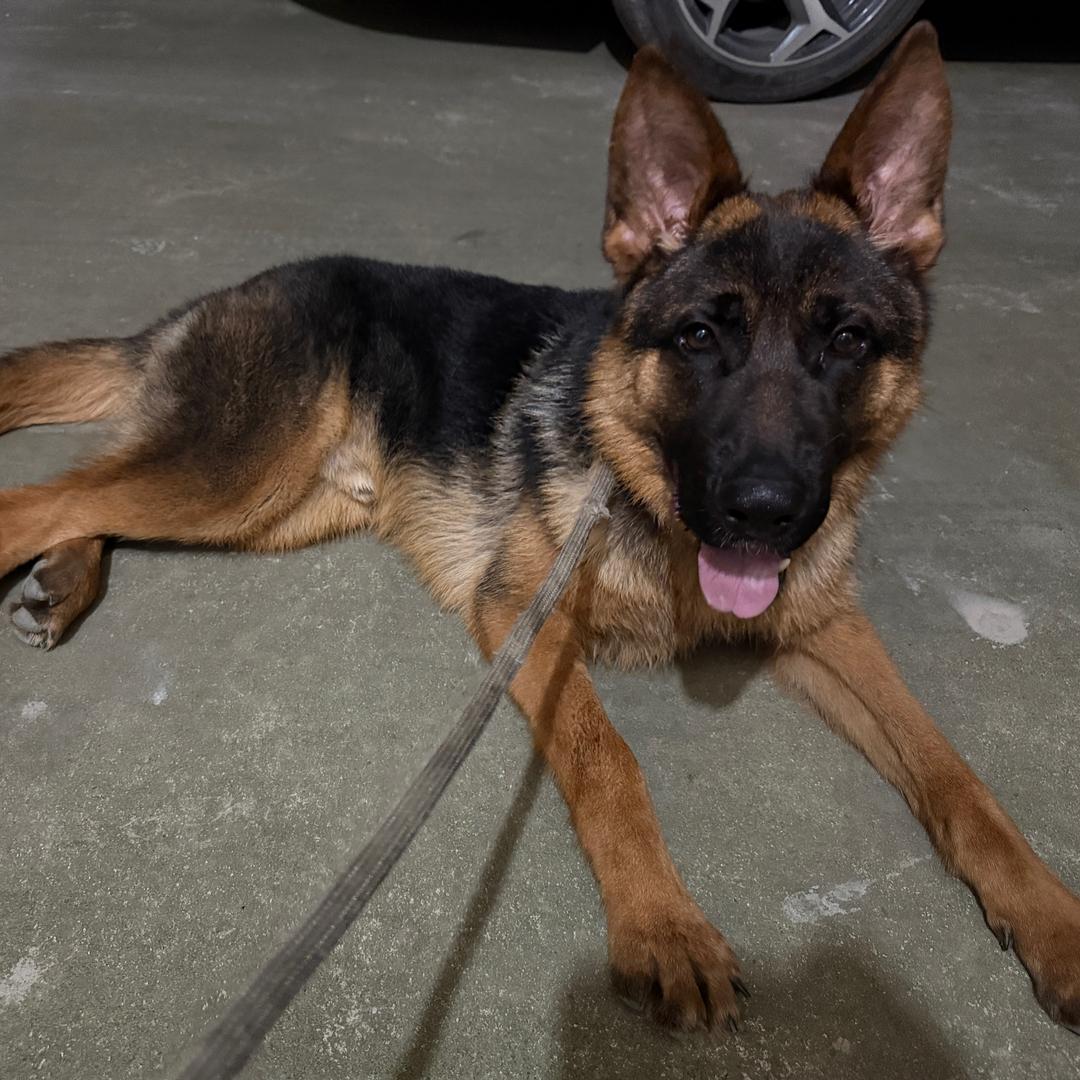 是火星不是地球🌏