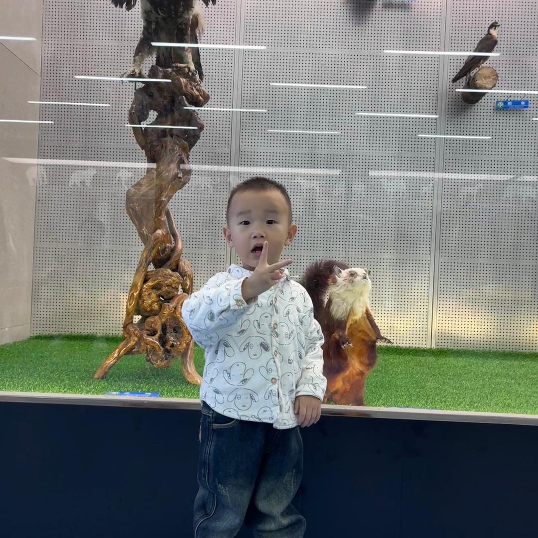 小哲哲的成长记❤