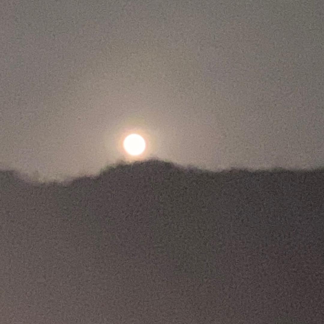 晨阳/