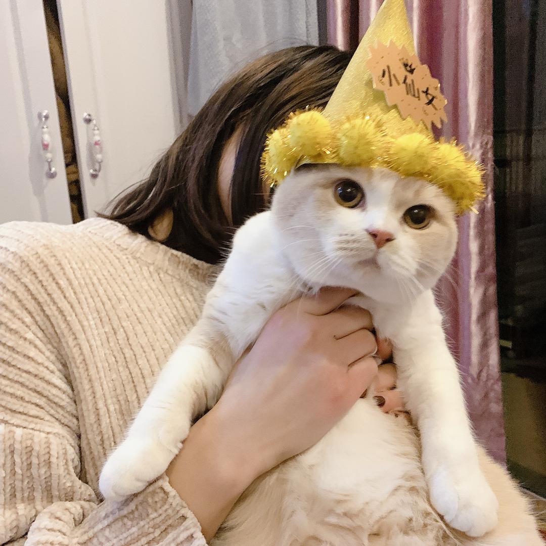 🌈小黄一年洗两次澡