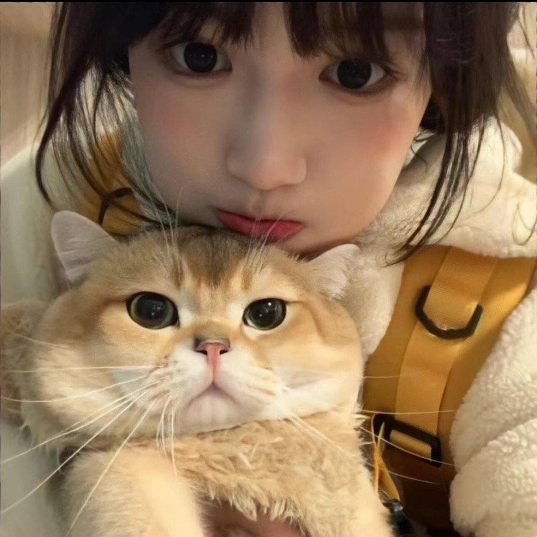 下雨了🌧️