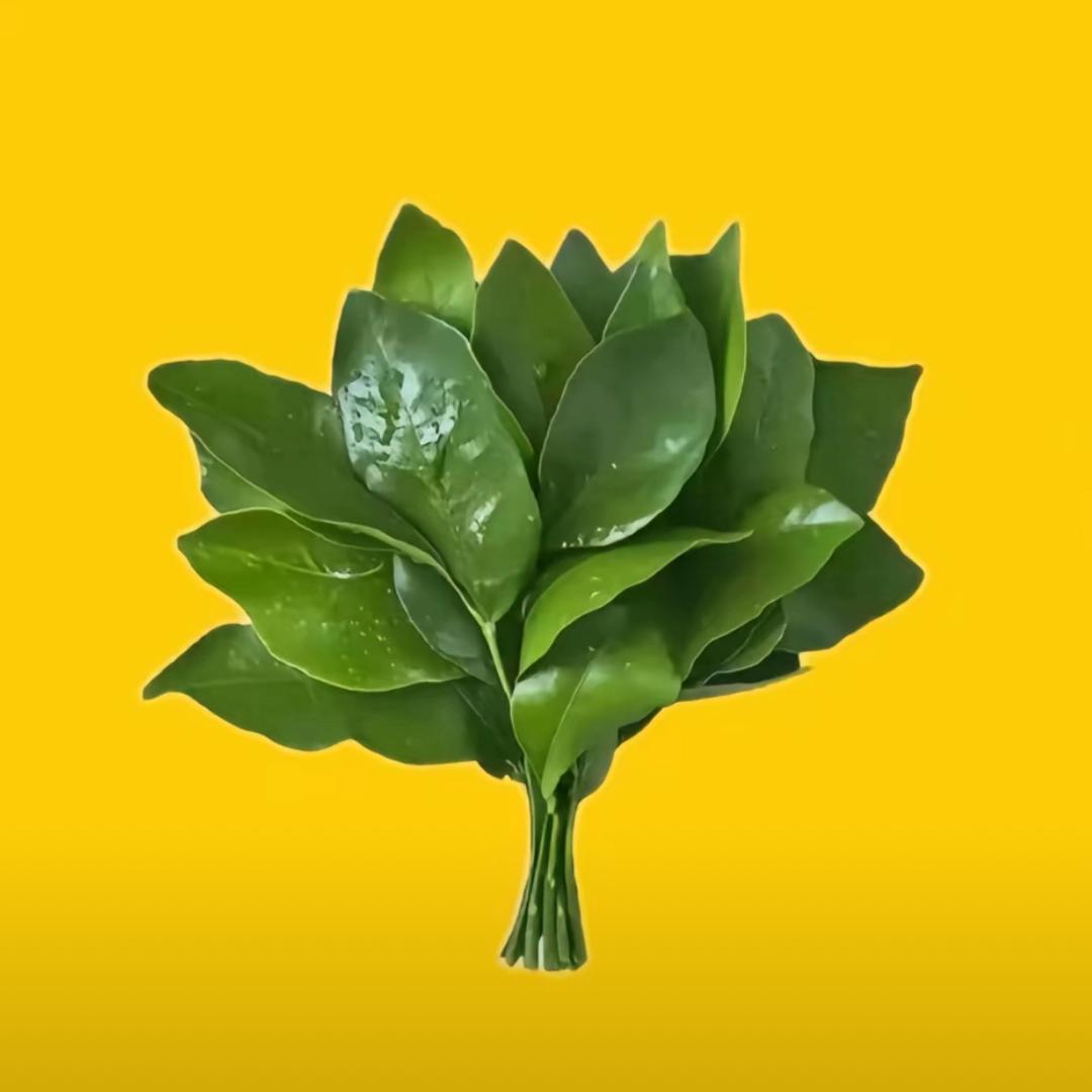 李家嘛