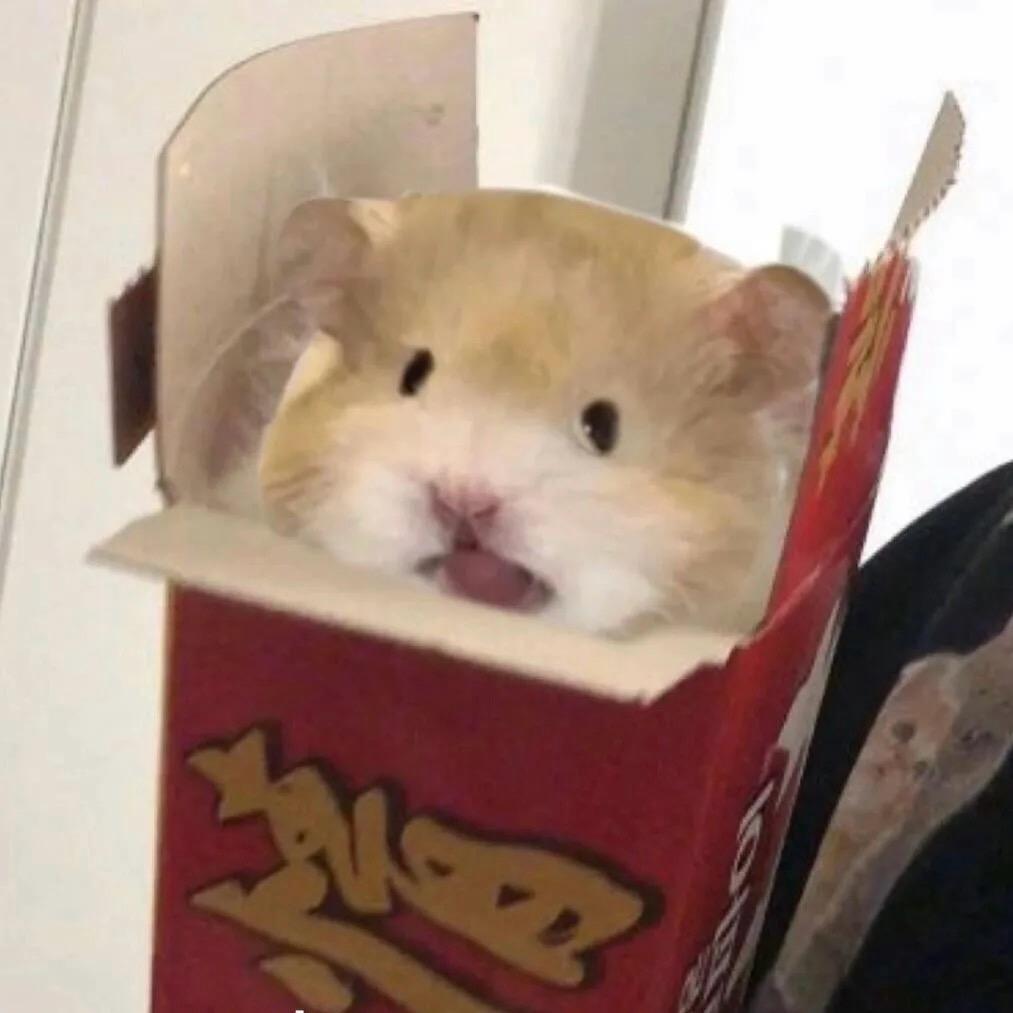 水枪呲尿呲谁谁叫