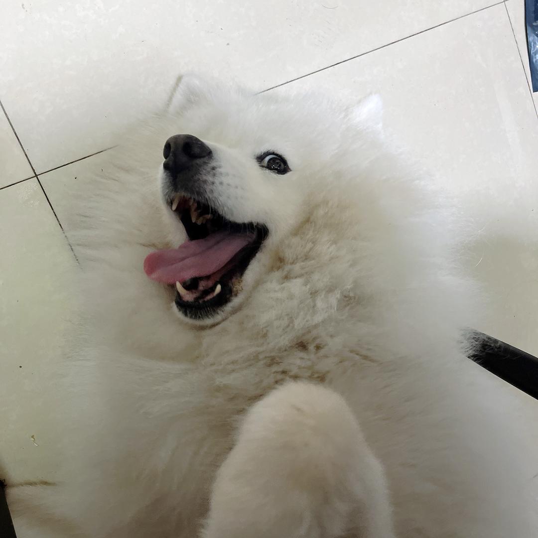 快乐