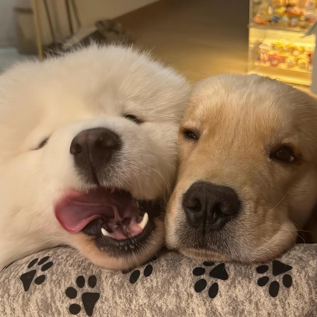 不掉20斤不改名.