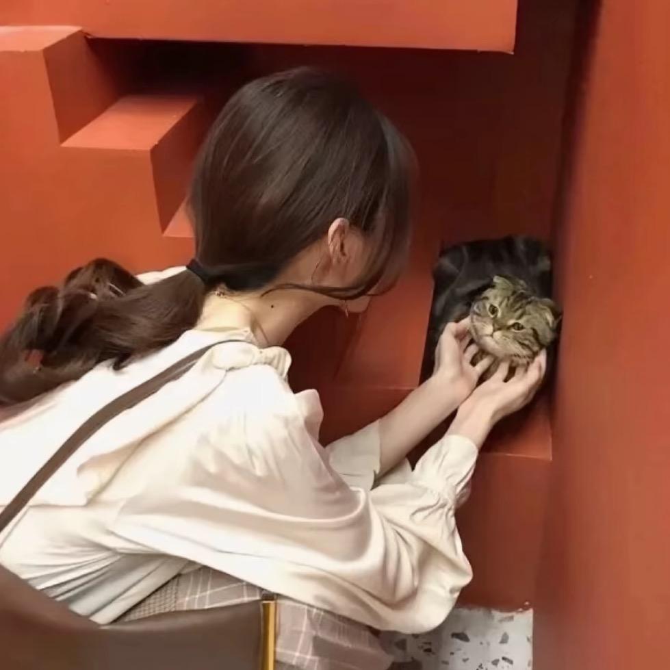 梓妍