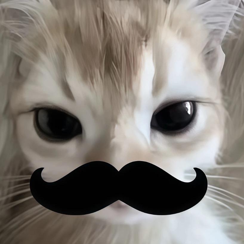 …