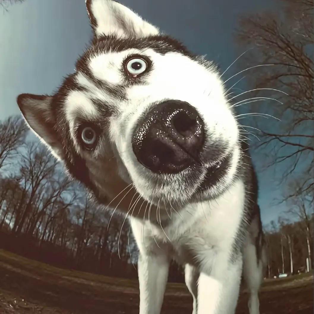 没礼貌的前男友