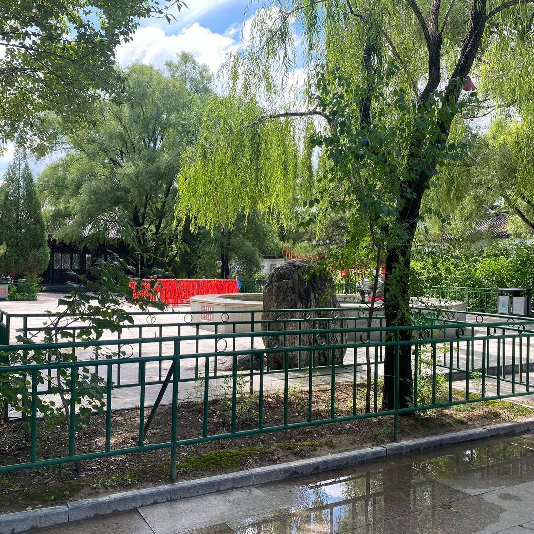 闪婚帝总厉衍风头像