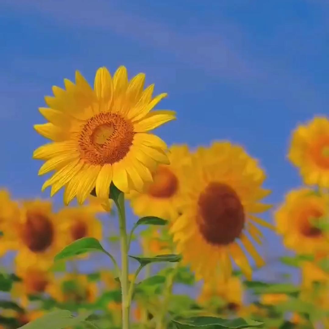 珍惜