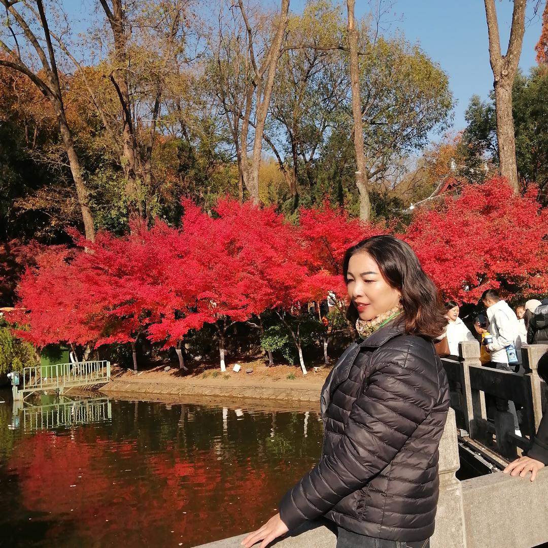 刘莉