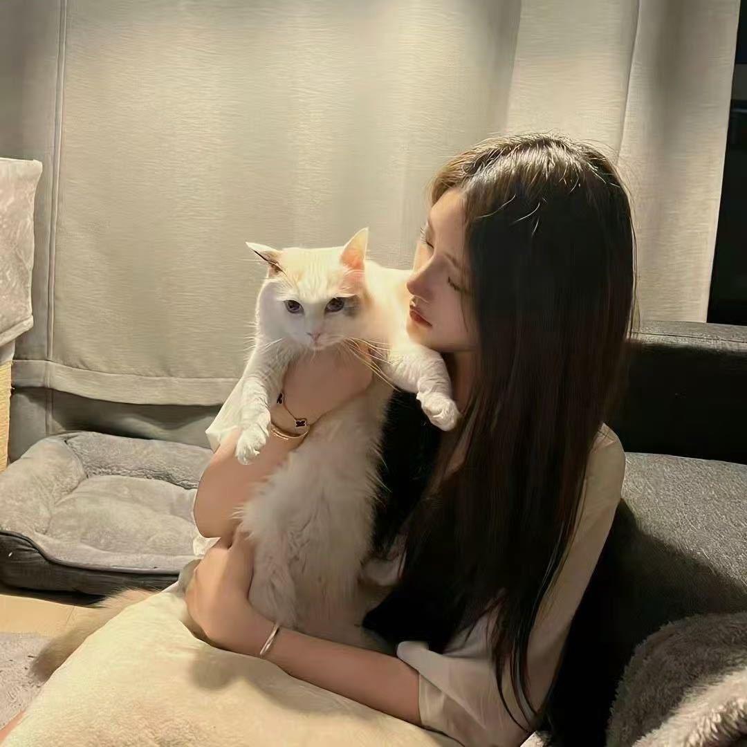 吊烧•鲜牛腩火锅