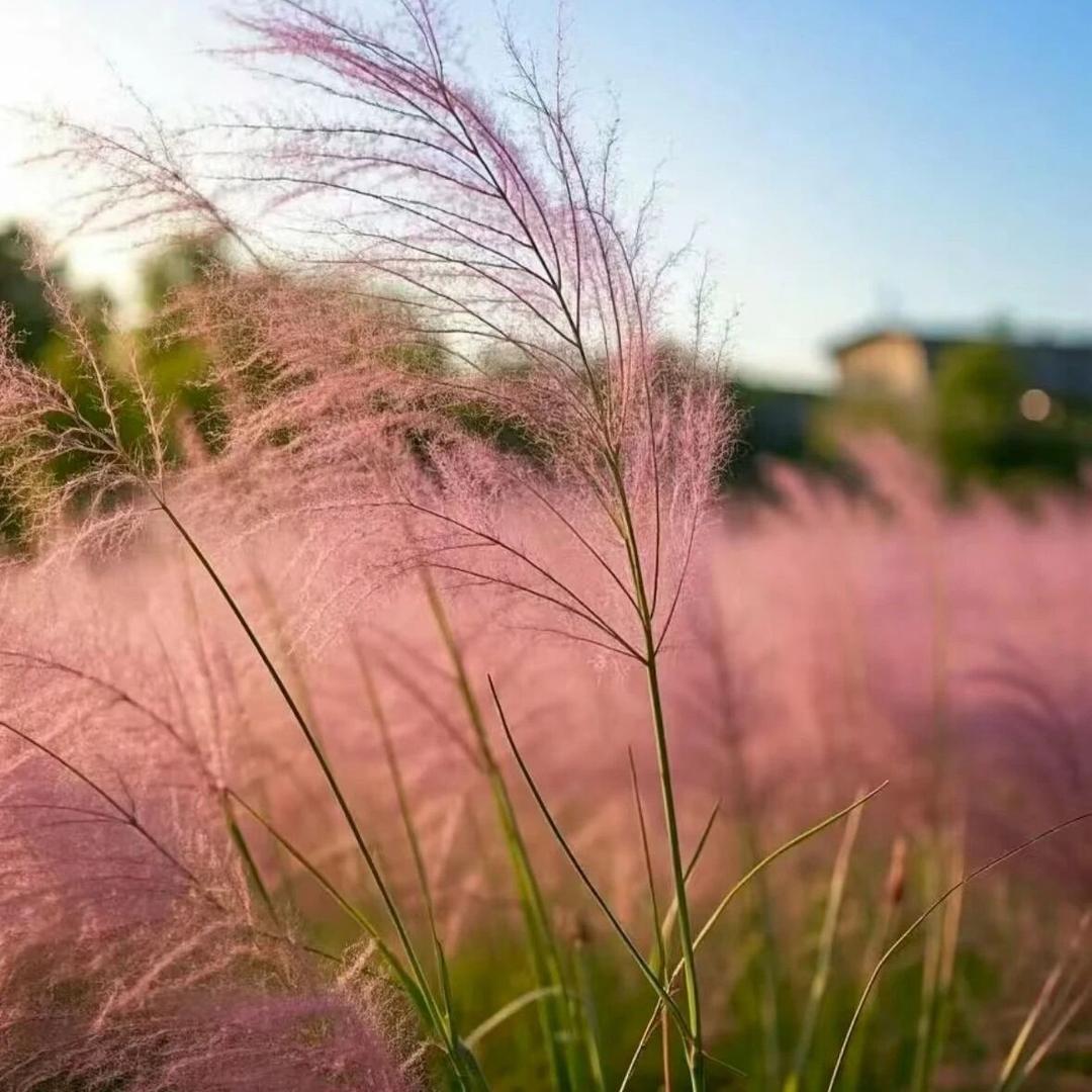 👉 堇色素颜 👈艺姐