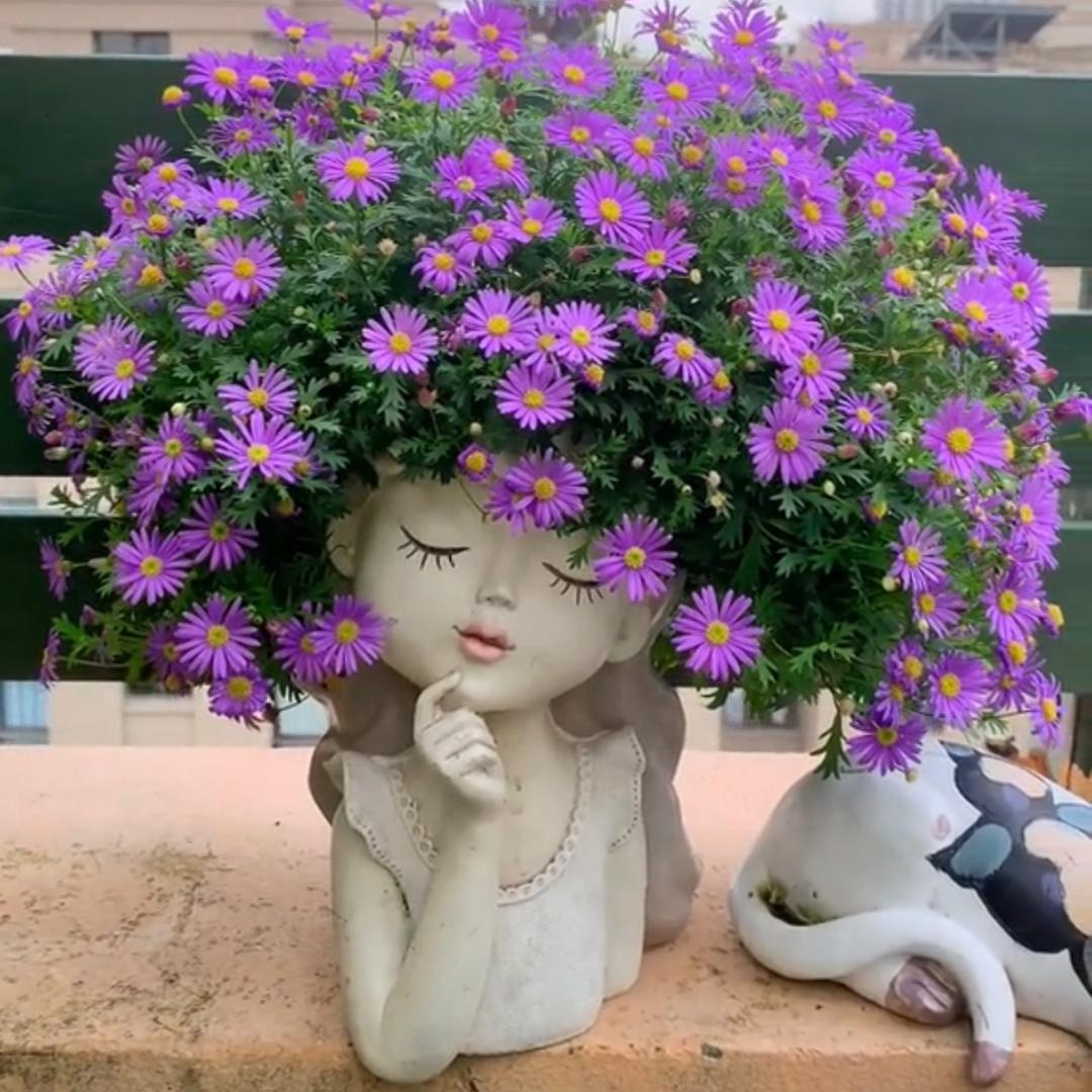 徐州贝壳小王看房🌈