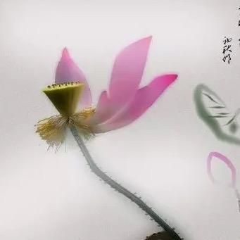 一茶一悟