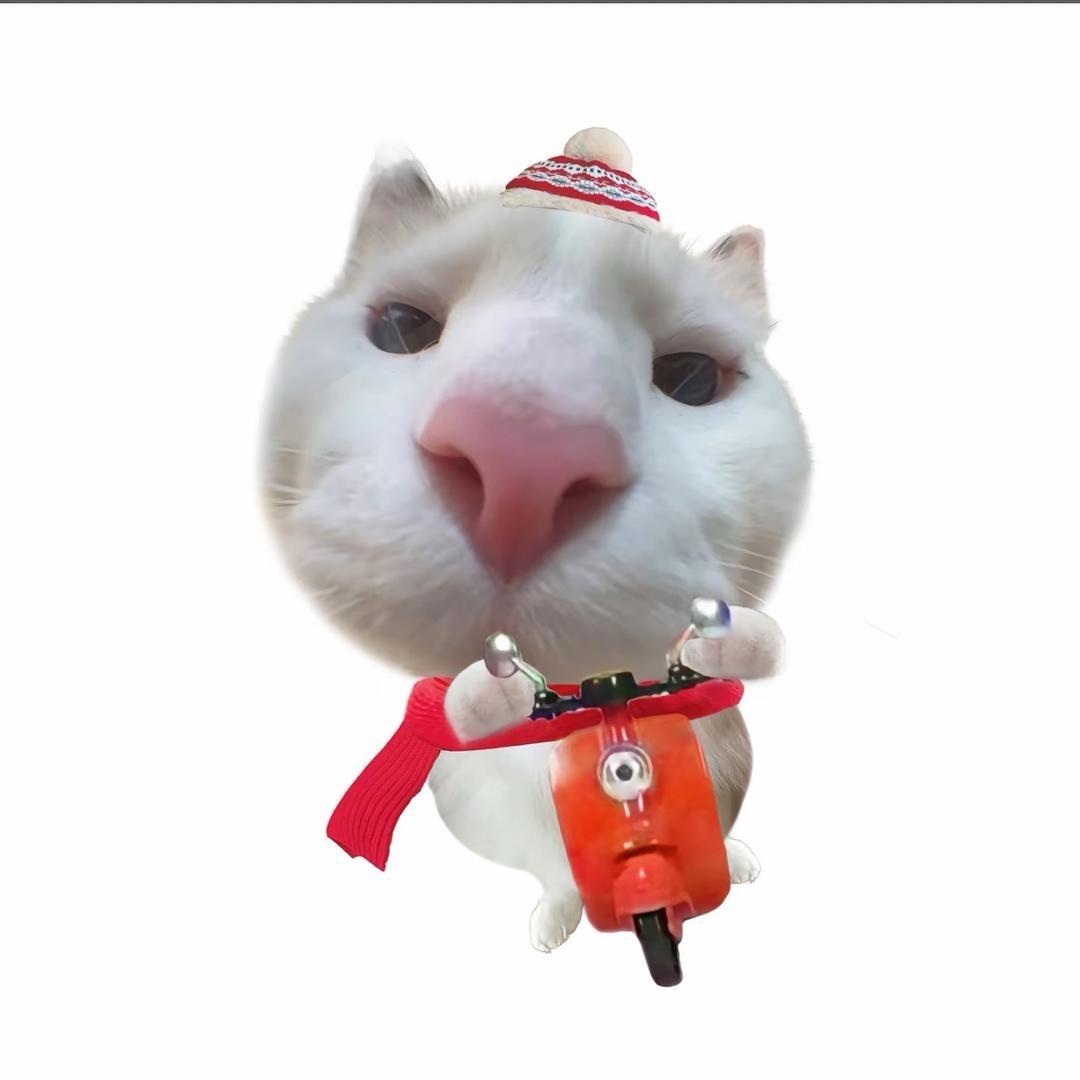 小曹想困高
