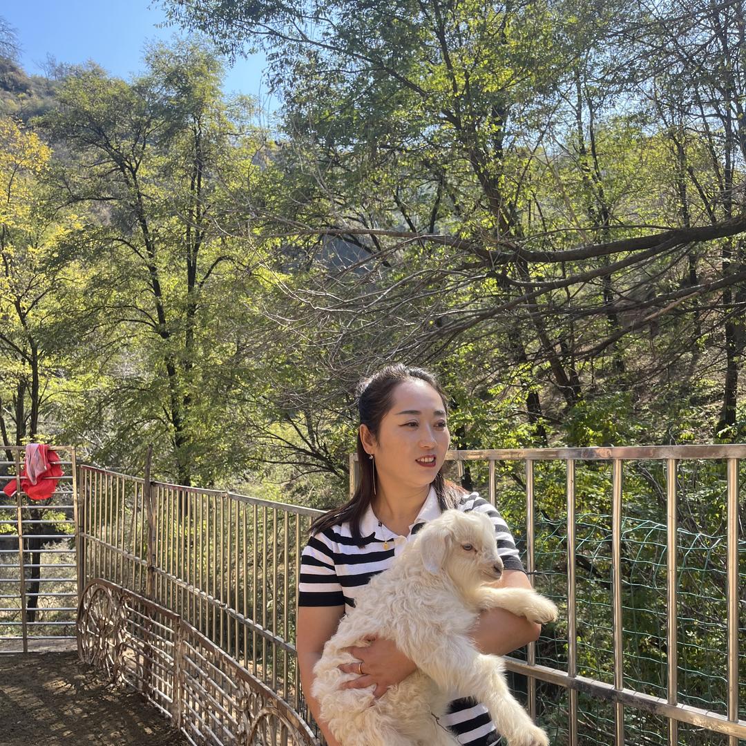 刘伟横山羊肉