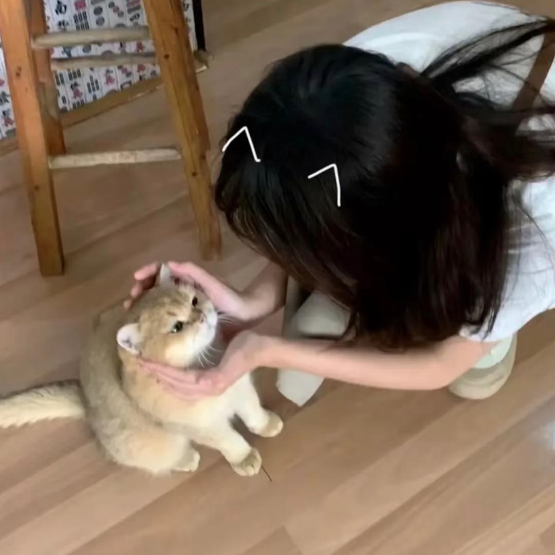 夏泉