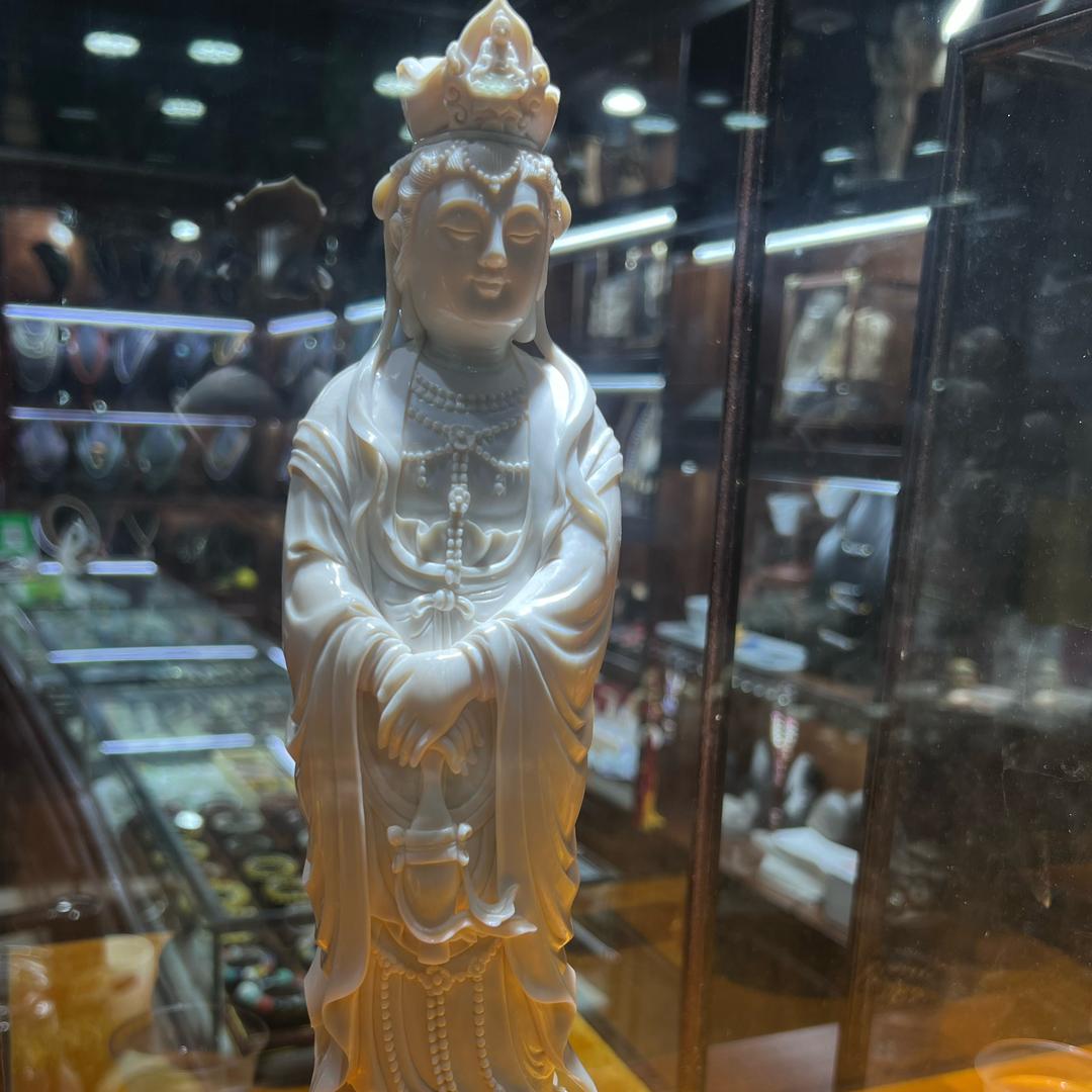 杨起❤️你的风帆