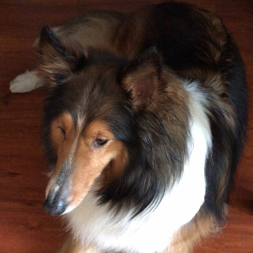 签名