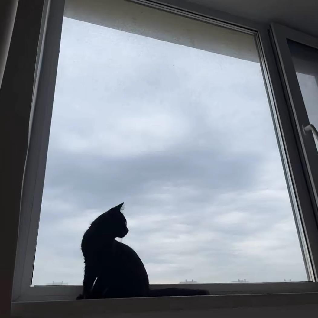 我吃饭的时候不饿、