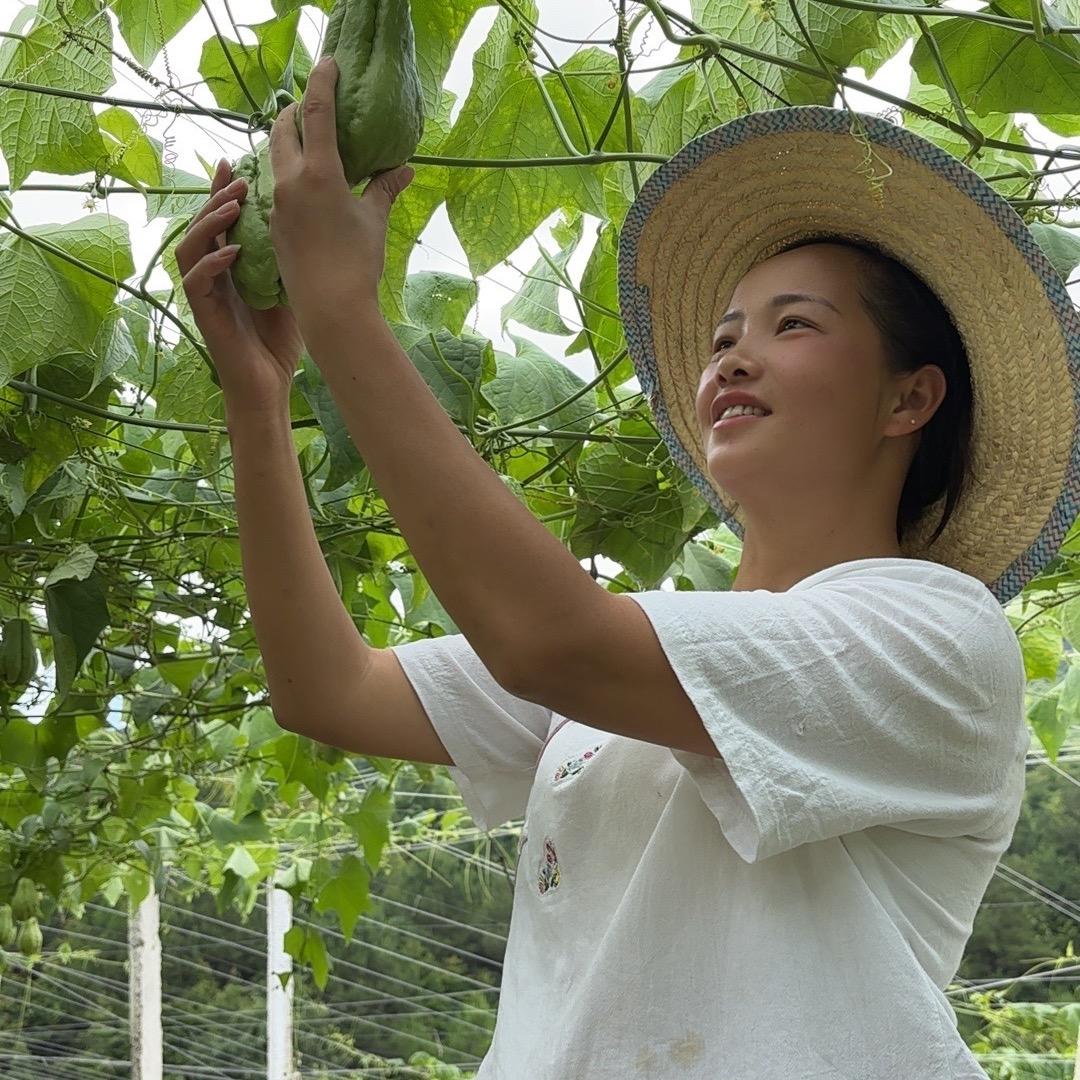 农村小爱