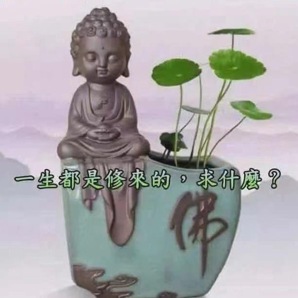 56度
