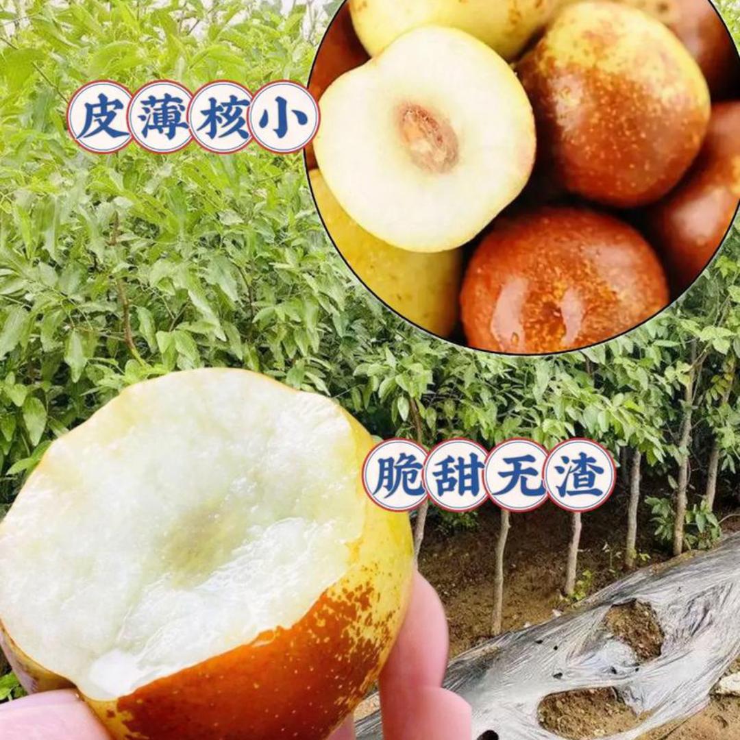 宏拓专营店