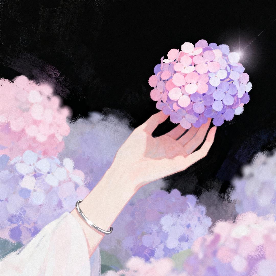 梦拾花