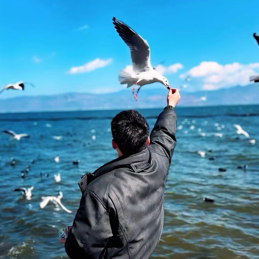 莆田游泳林教练