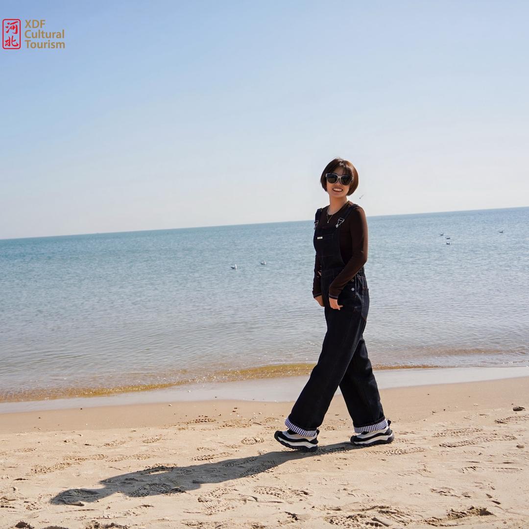 是懂升学的吴老师