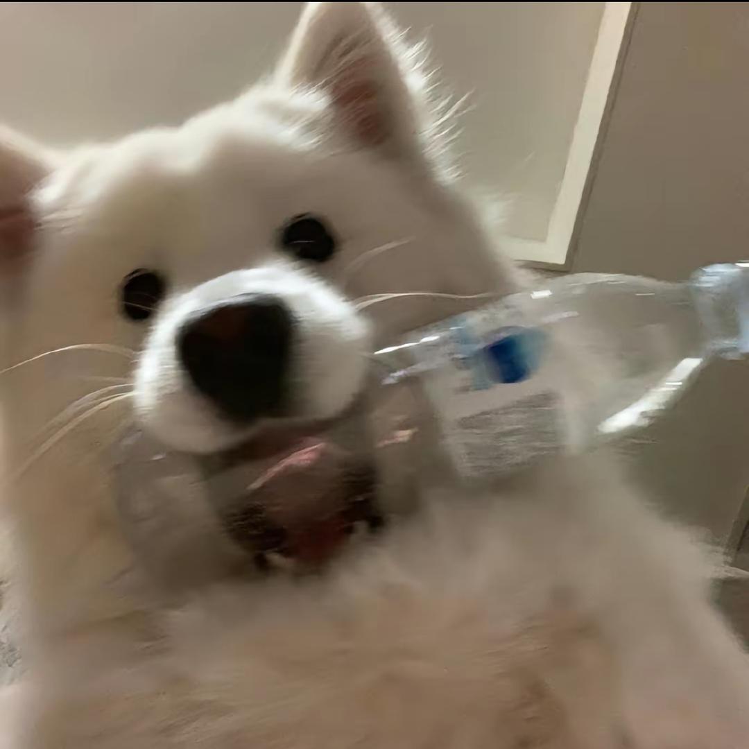 很爱睡懒觉