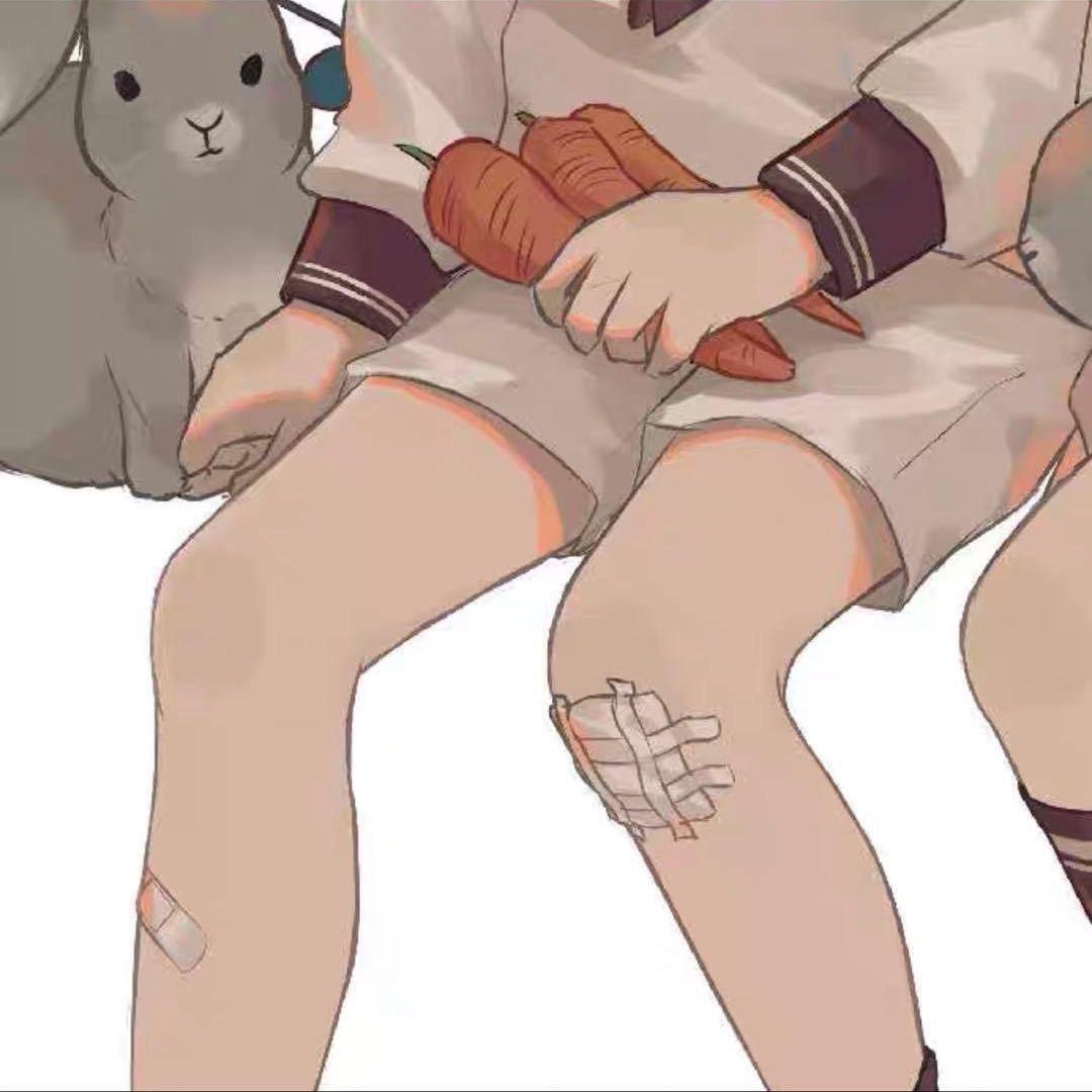 月亮别摘了