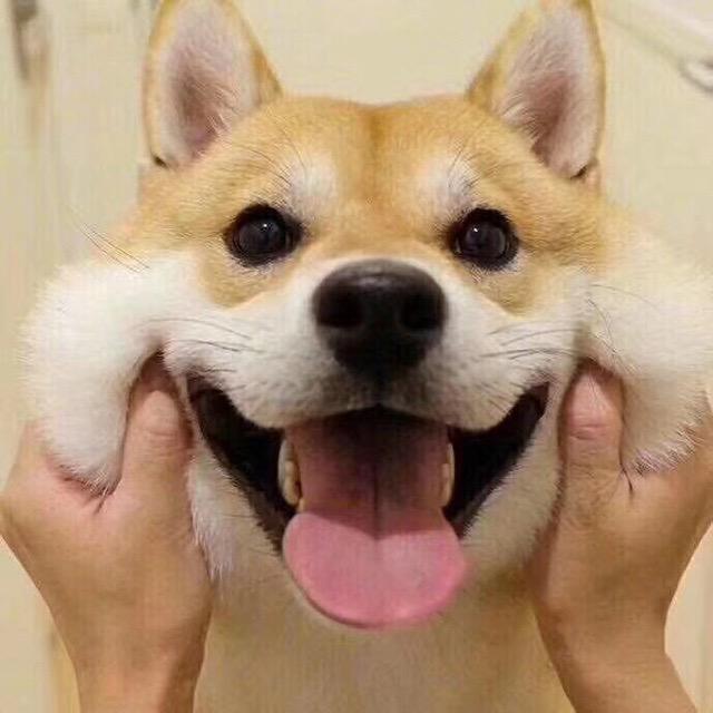 啊灿运动健身
