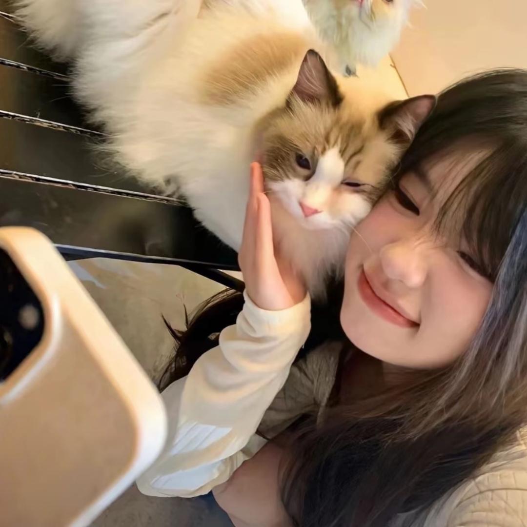 抚安