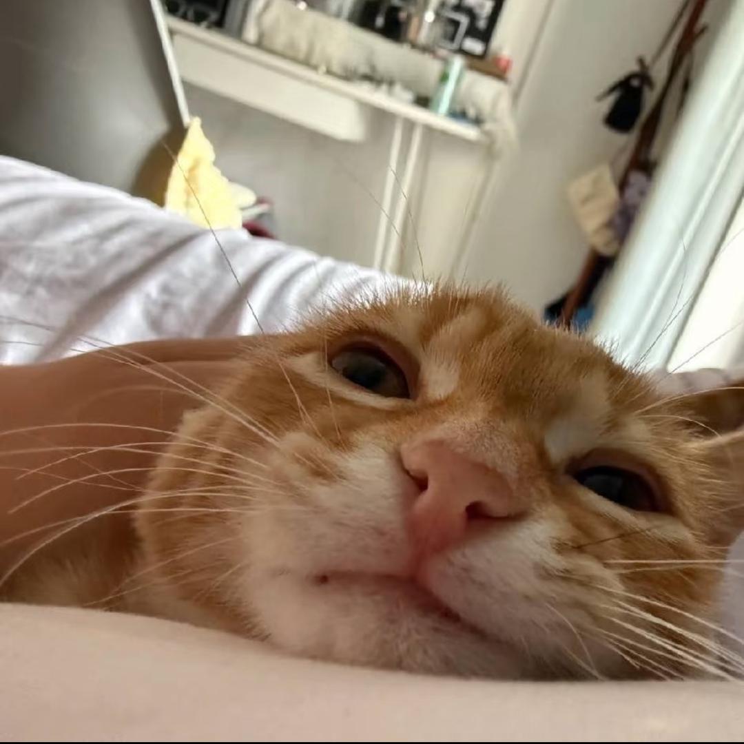 ._.