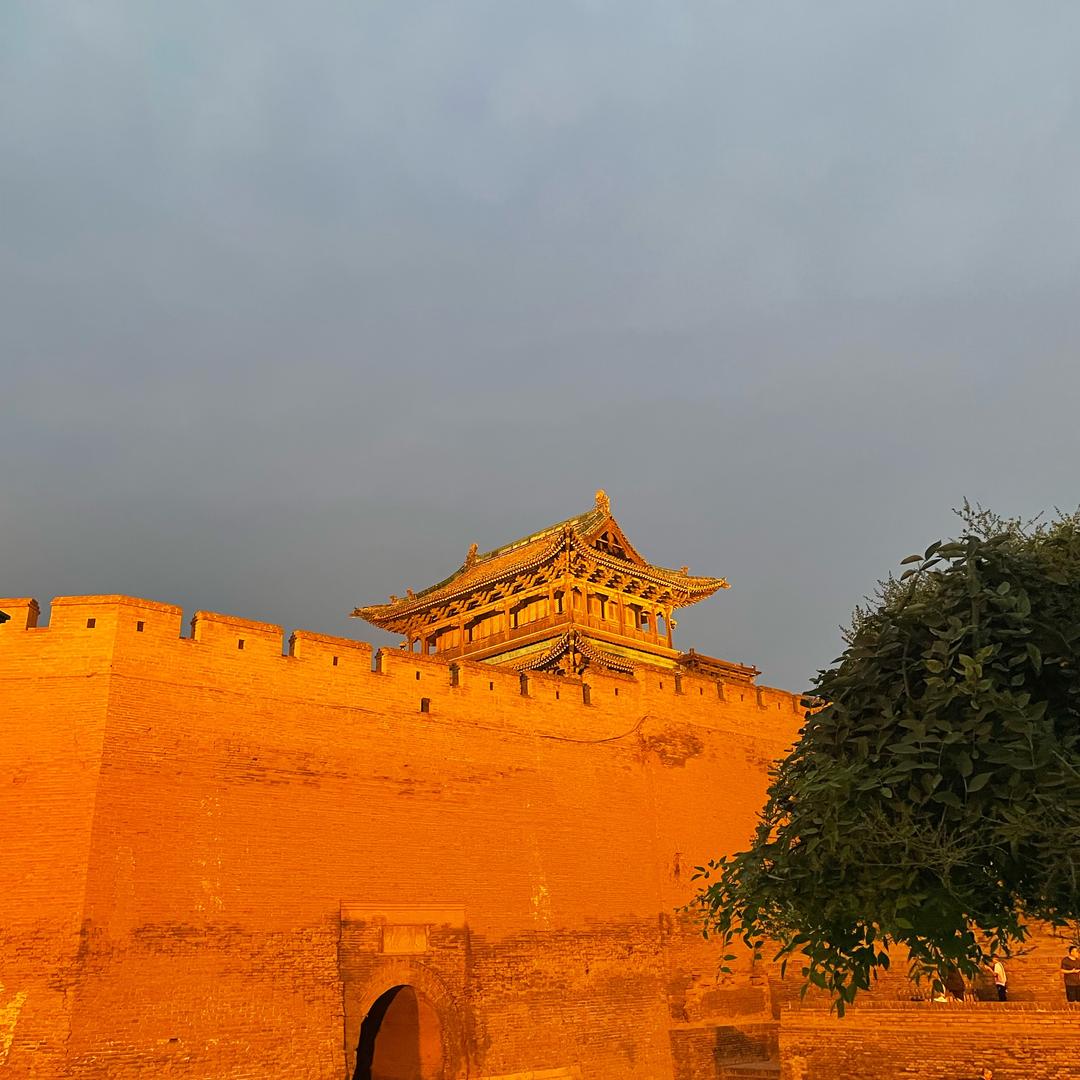 阳光彩虹小黑马