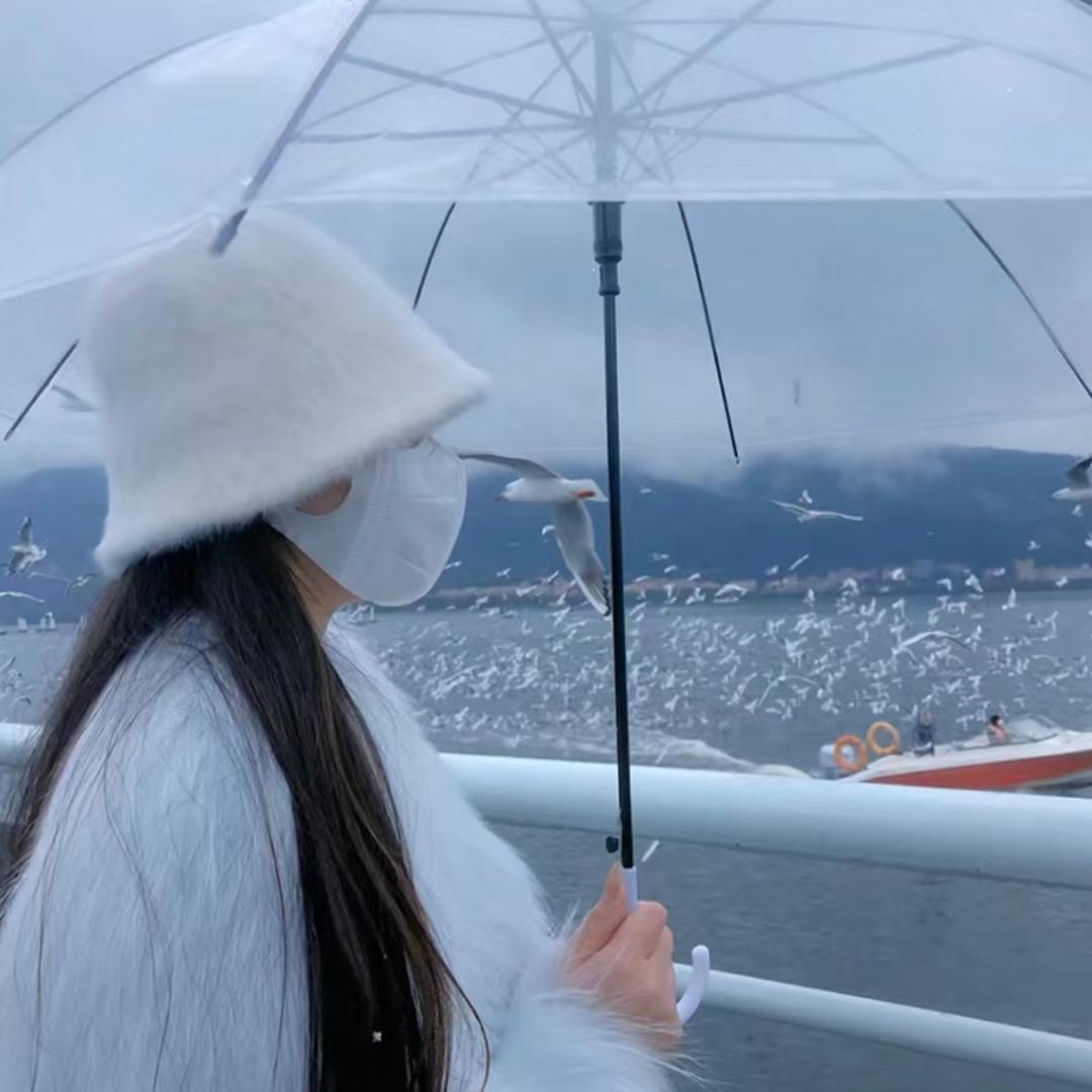 愿望是世界和平