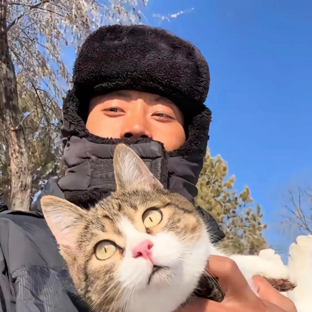 铲屎日记