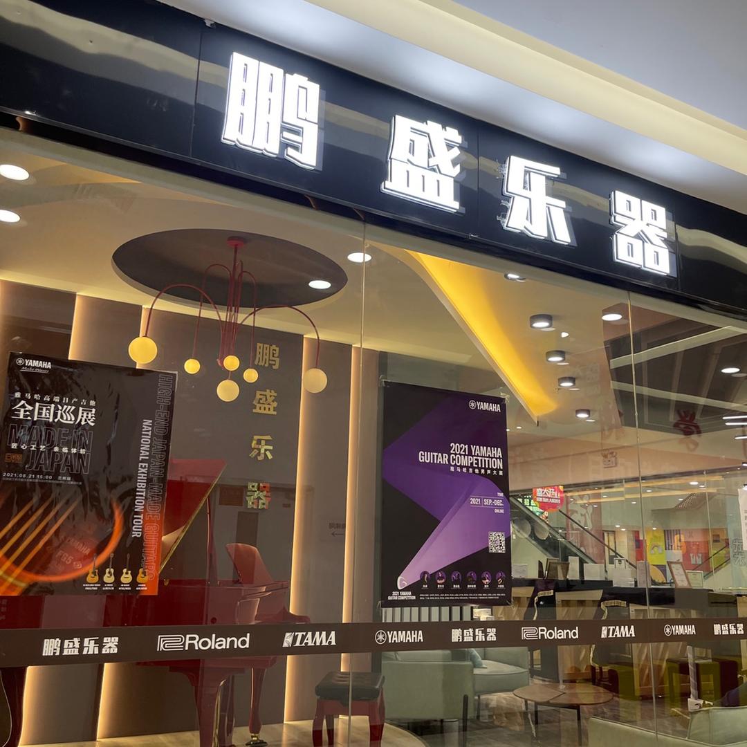 鹏盛乐器