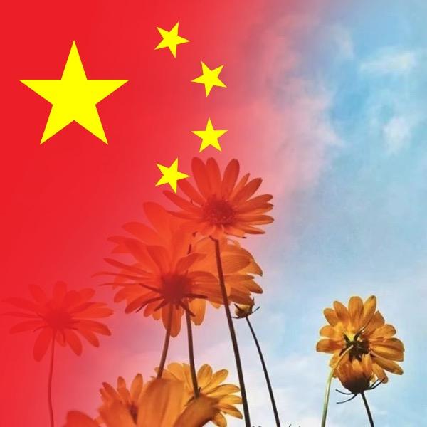 用户金金