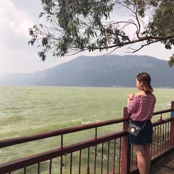 广西武鸣表妹释迦果园