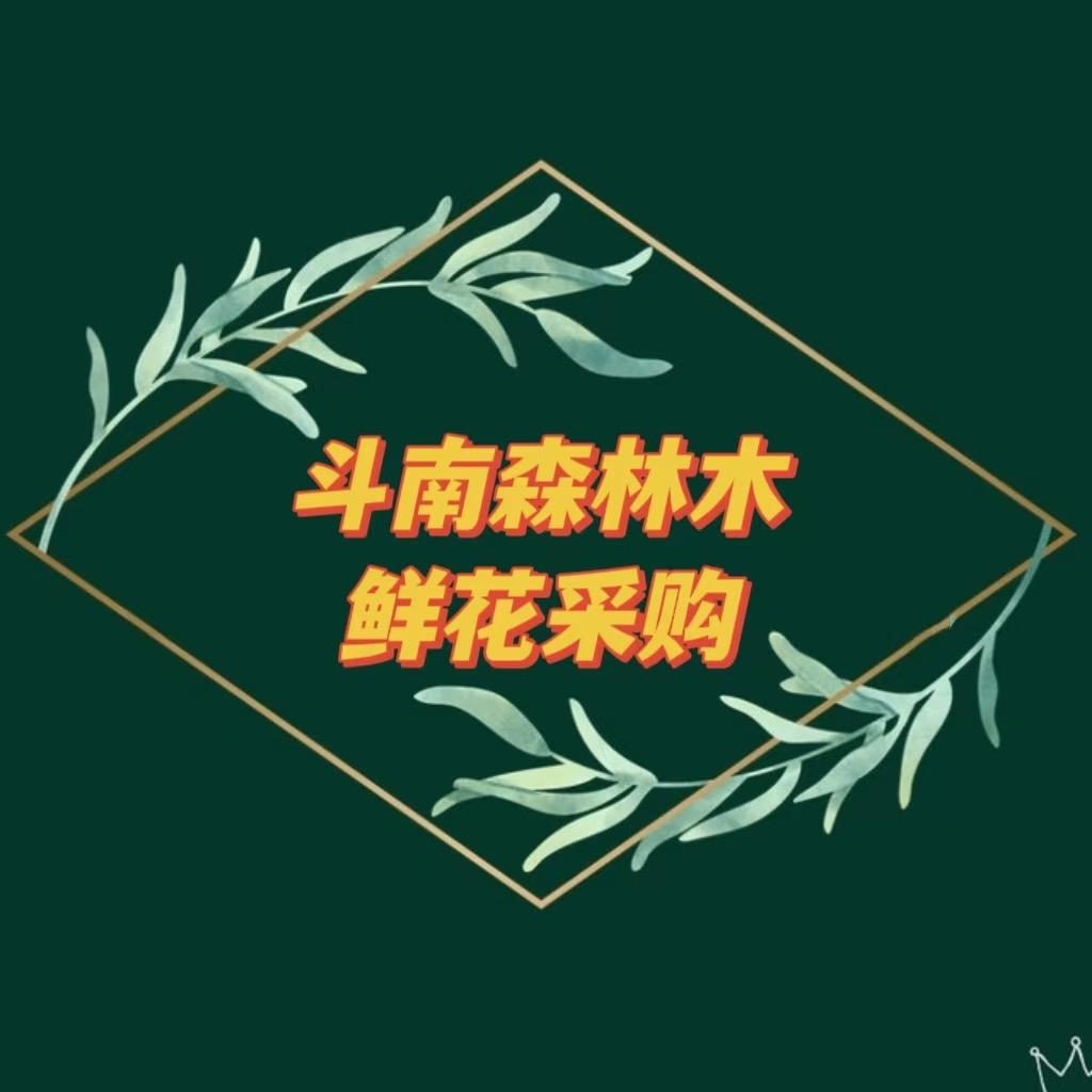 斗南森林木鲜花批发