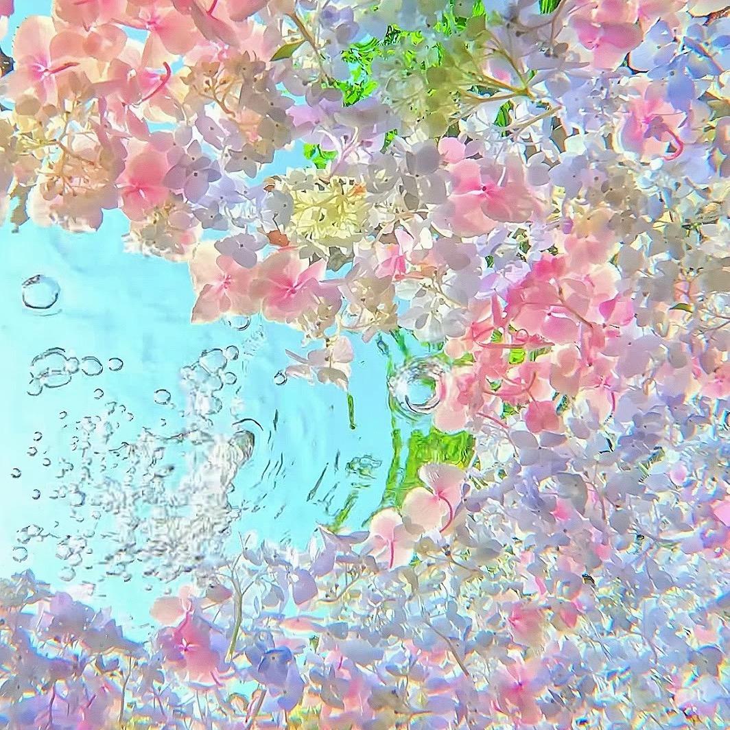 浪漫敏感