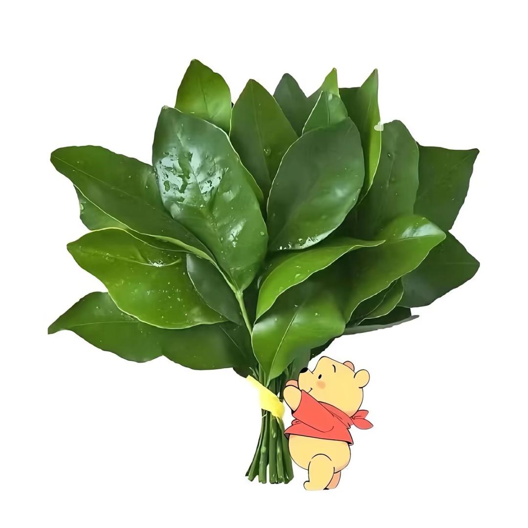 古希腊掌管财富的