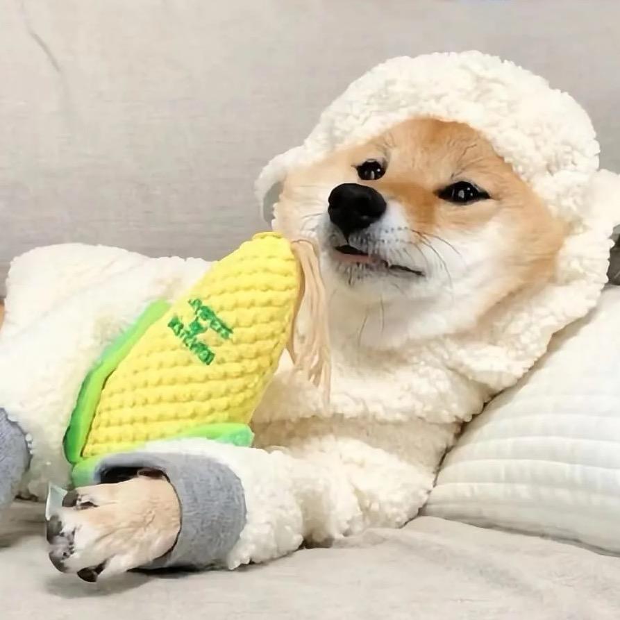 湖东百货湖东百货琳琳百货号