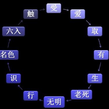 夺尽是