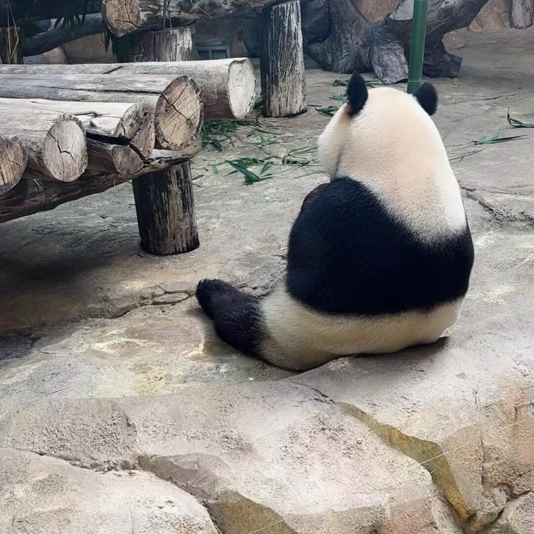 加点甜